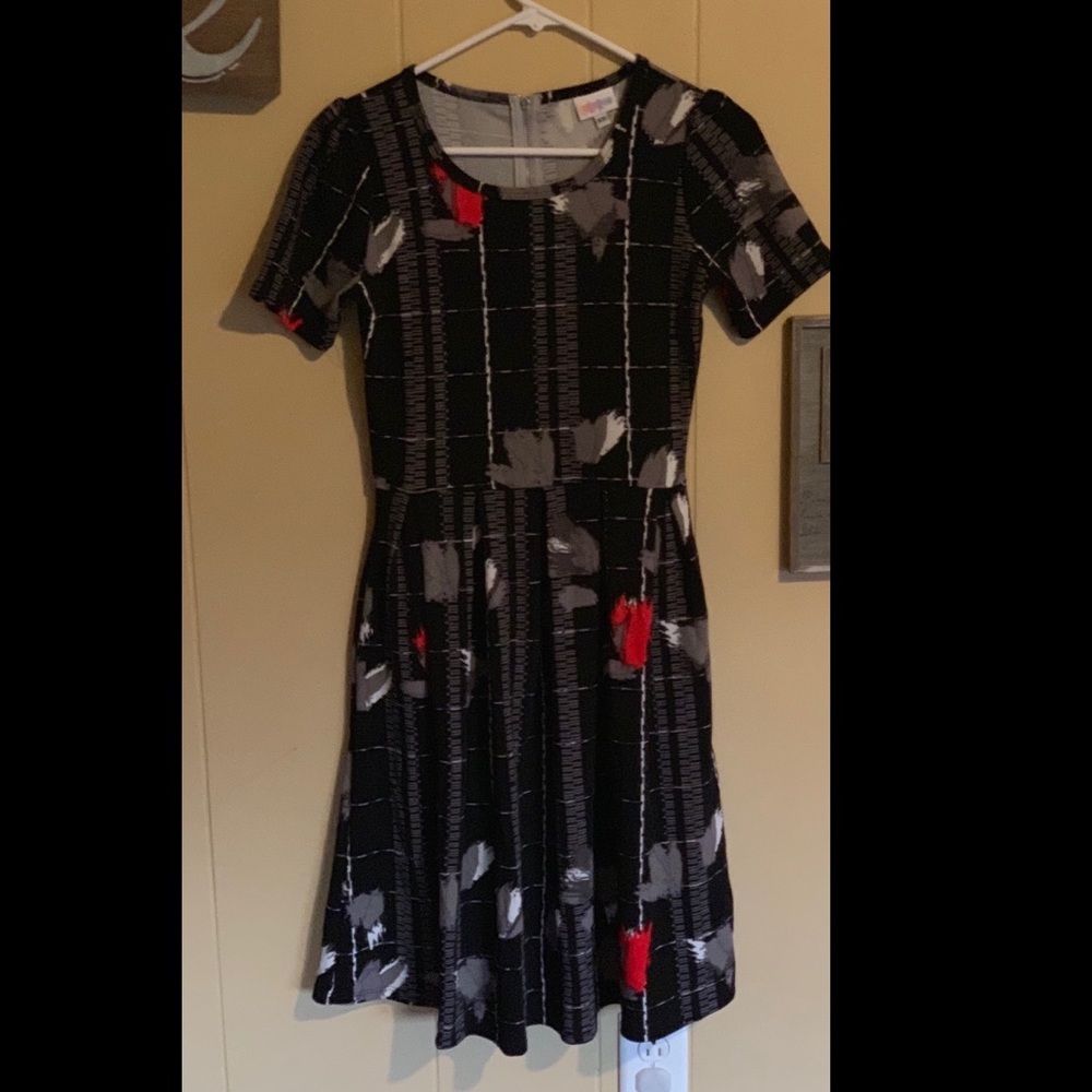 Brand New Lula Roe dress!